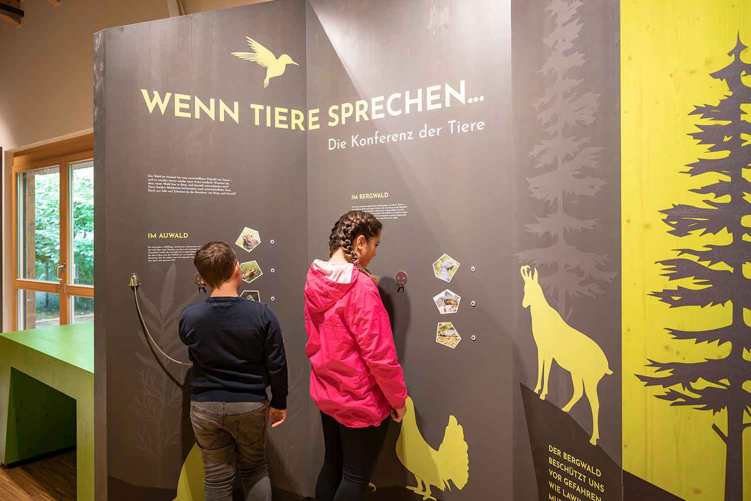 Ausstellung im Walderlebniszentrum Füssen