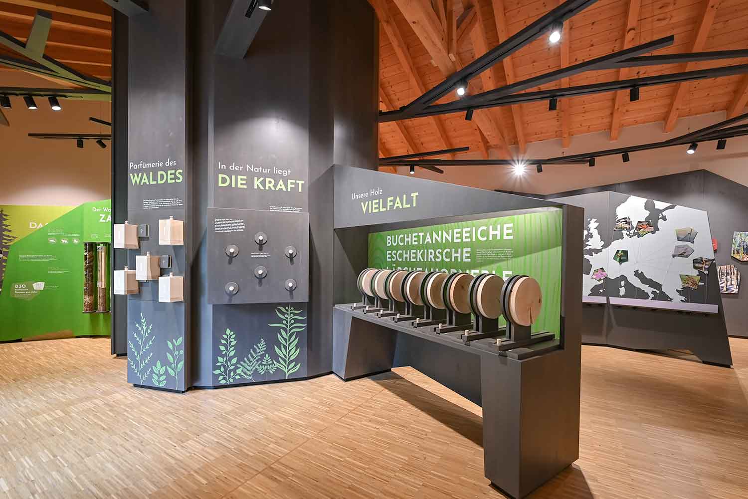 Ausstellung im Walderlebniszentrum Füssen