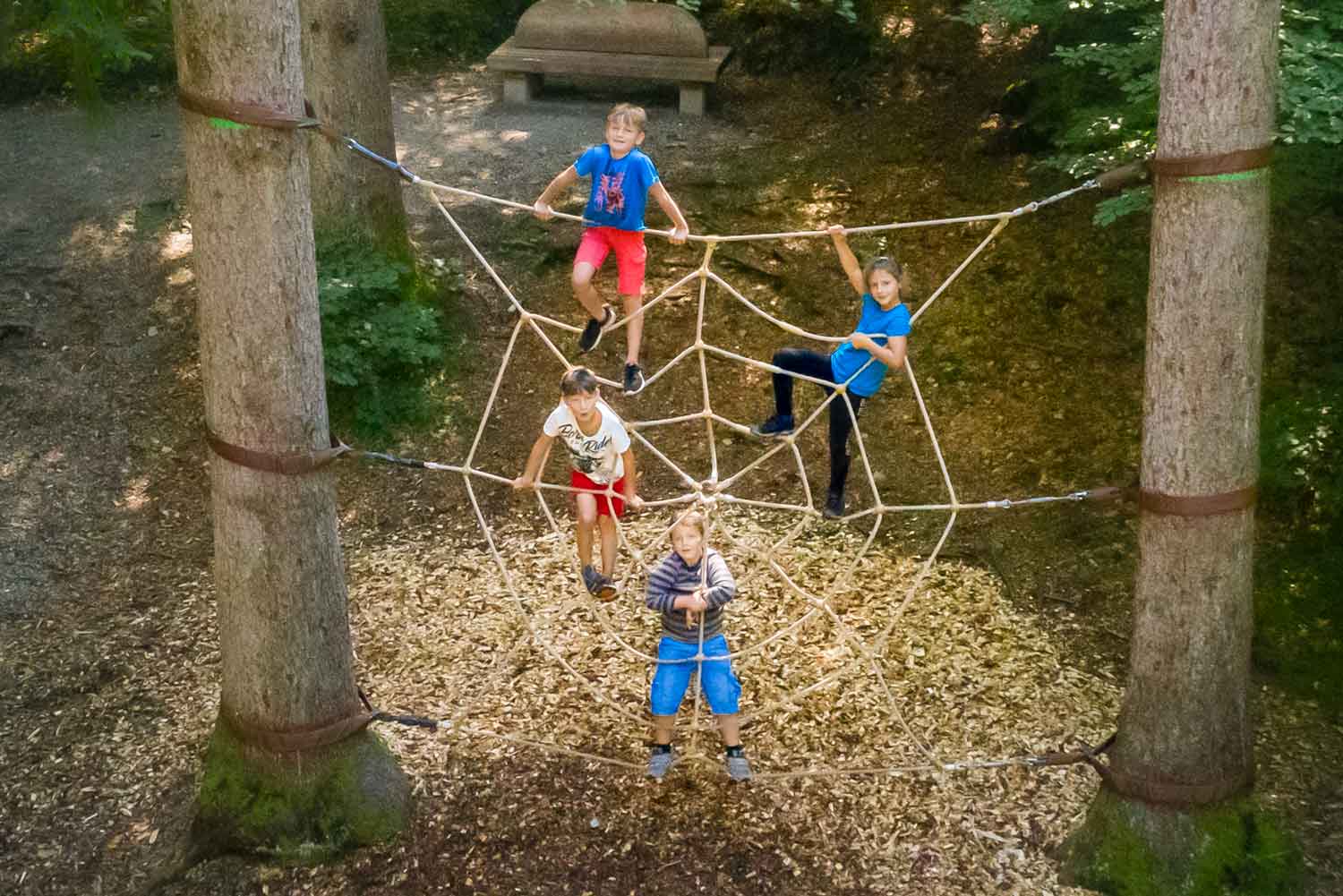 Walderlebniszentrum Spielplatz: Kinder auf einen Spinnennetz